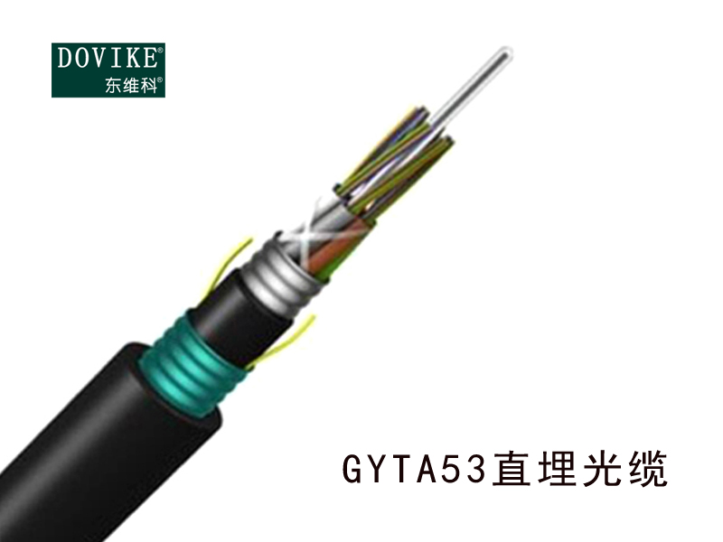 GYTA53加強(qiáng)鎧裝直埋光纜  24芯埋地光纜--江蘇東維通信科技有限公司