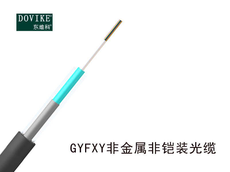 GYFXY非鎧裝光纜- 12芯GYFXY光纜廠家--江蘇東維通信科技有限公司