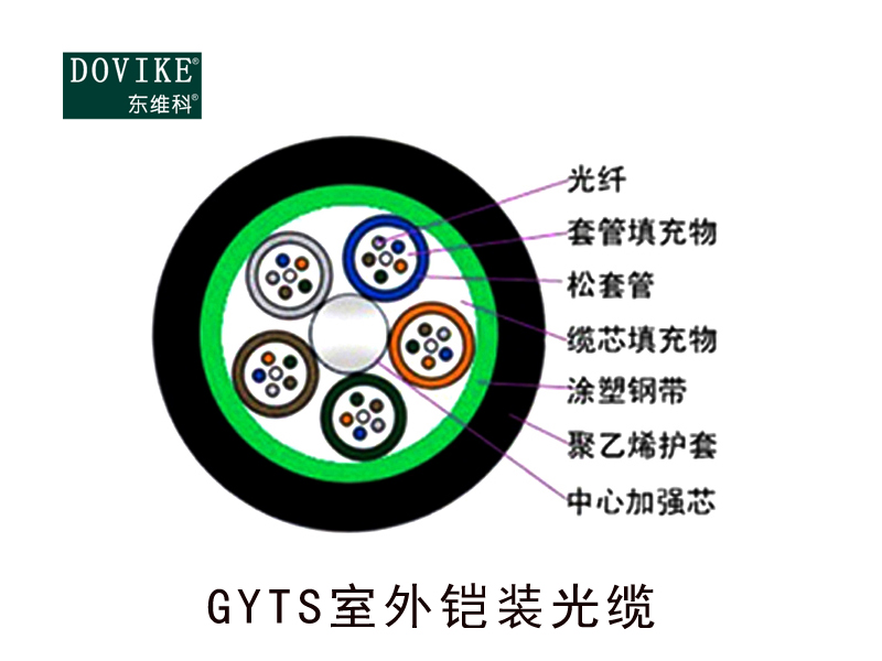 GYTS室外鎧裝光纜，24芯GYTS鎧裝光纜--江蘇東維通信科技有限公司