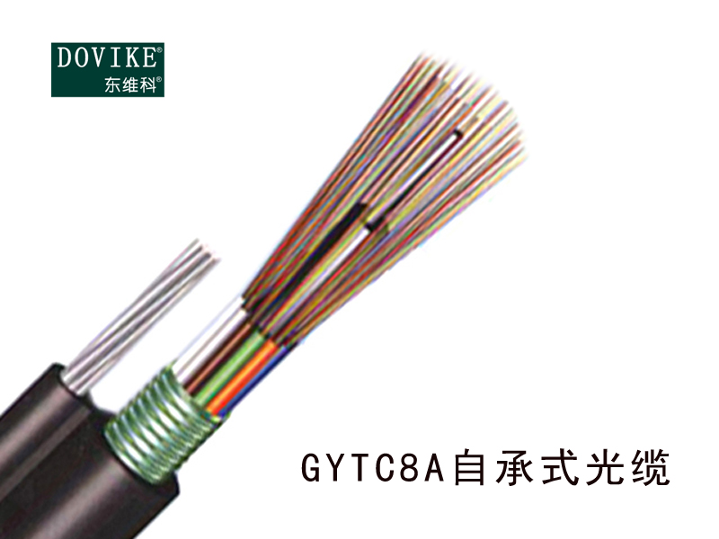 GYTC8A自承式光纜  24芯自承式光纜--江蘇東維通信科技有限公司