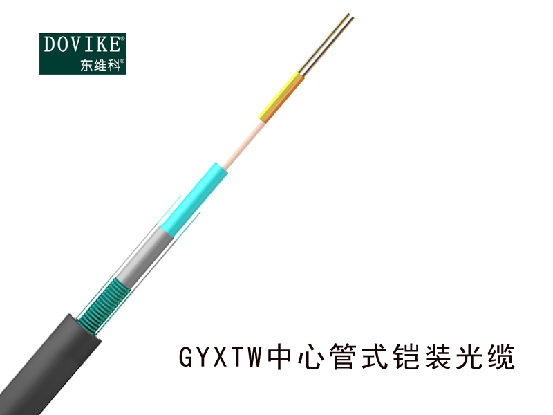 GYXTW鎧裝光纜 12芯GYXTW鎧裝光纜--江蘇東維通信科技有限公司