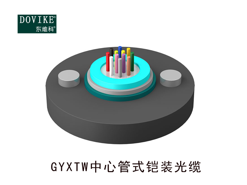 GYXTW鎧裝光纜 12芯GYXTW鎧裝光纜--江蘇東維通信科技有限公司