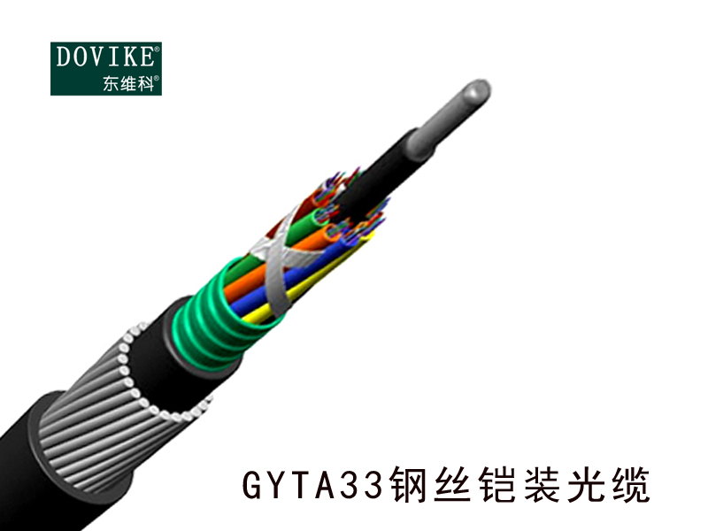 GYTA33鋼絲鎧裝室外直埋/水下/防鼠光纜---江蘇東維通信科技有限公司