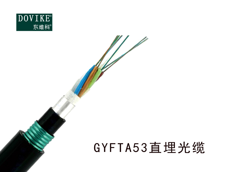 GYFTA53室外鎧裝直埋光纜，24芯埋地光纜廠家--江蘇東維通信科技有限公司