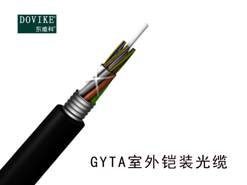 GYTA室外鎧裝光纜 24芯GYTA鎧裝光纜--江蘇東維通信科技有限公司