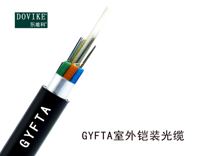 GYFTA鎧裝光纜非金屬加強(qiáng)芯 24芯GYFTA光纜--江蘇東維通信科技有限公司